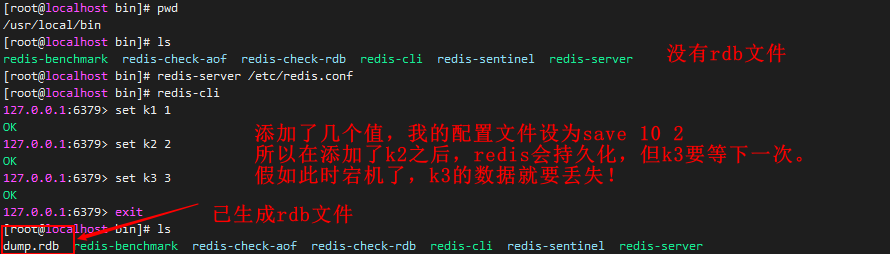 rdb持久化示意图